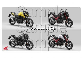 Honda Hornet Motorcycle Motorbike Compilation A3/A4 Poster Photographic Paper