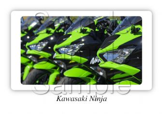 Kawasaki Ninja Motorbike Motorcycle - A3/A4 Size Print Poster