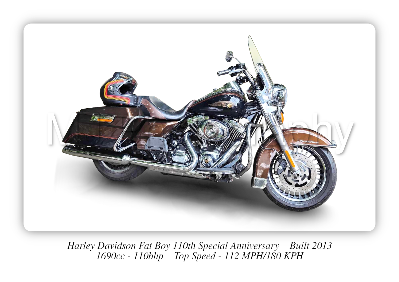 Harley Davidson Fat Boy 110th Special Anniversary Motorcycle A4 - A0 Size Print Poster on Photographic Paper