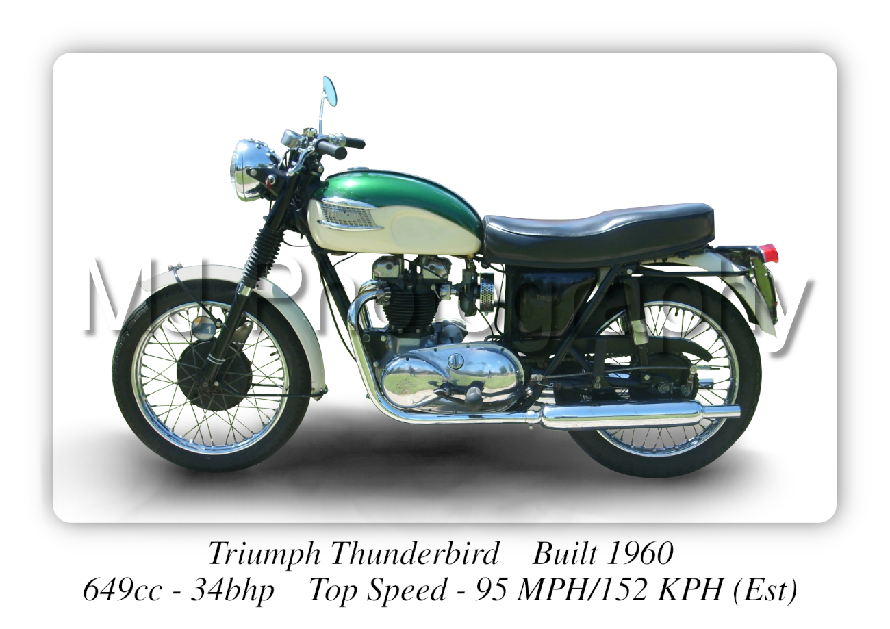 Triumph Thunderbird Motorcycle - A3 Size Print Poster