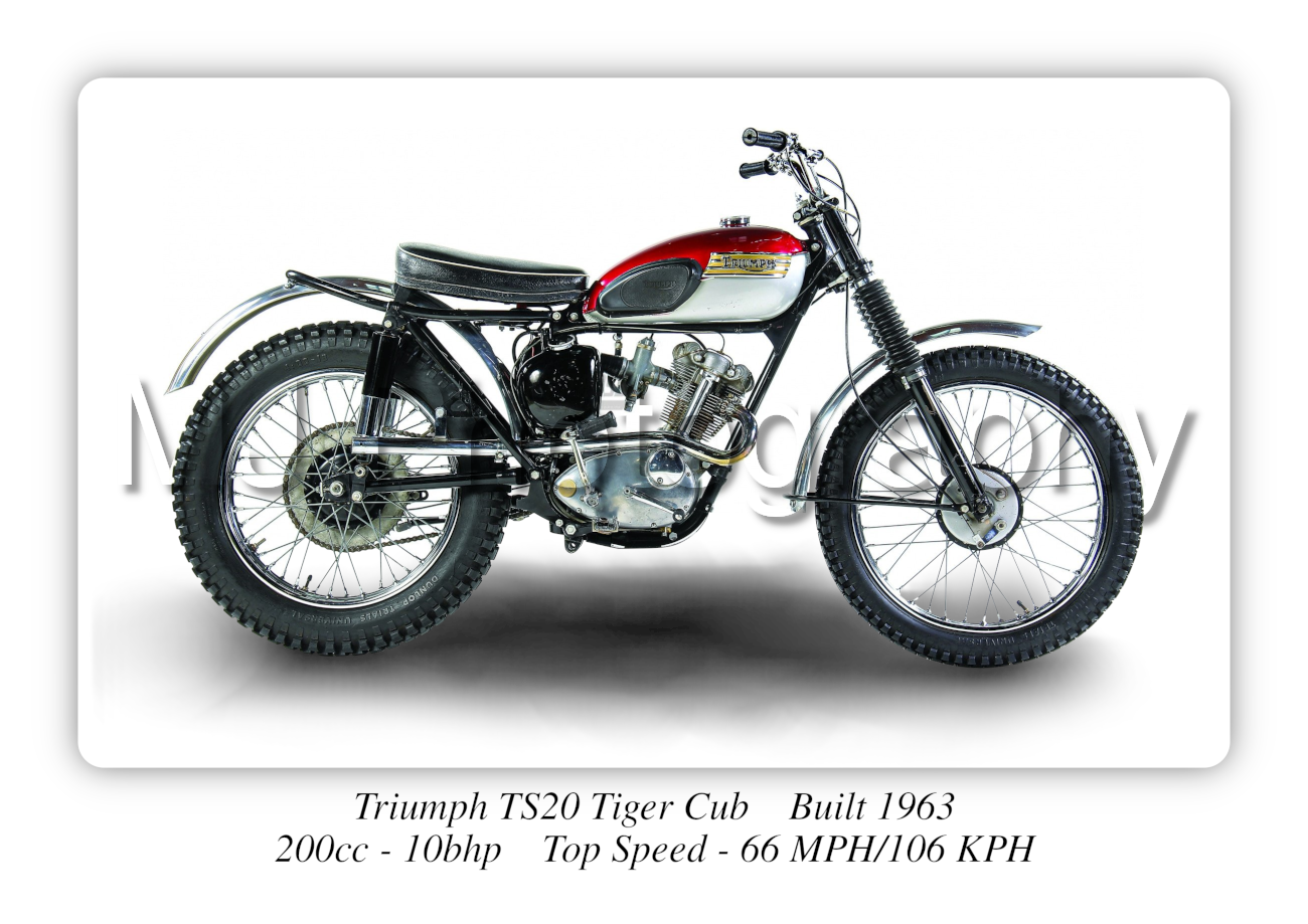 Triumph TS20 Tiger 1963 Motorbike Motorcycle - A3/A4 Size Print Poster