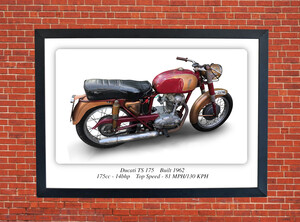 Ducati TS 175 Motorbike Motorcycle - A3/A4 Size Print Poster