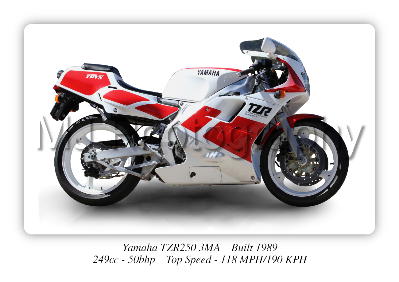 Yamaha TZR250 3MA Motorbike Motorcycle - A3/A4 Size Print Poster