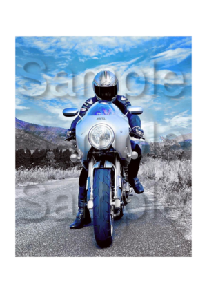 Ducati Desmo Motorbike Motorcycle - A3/A4 Size Print Poster