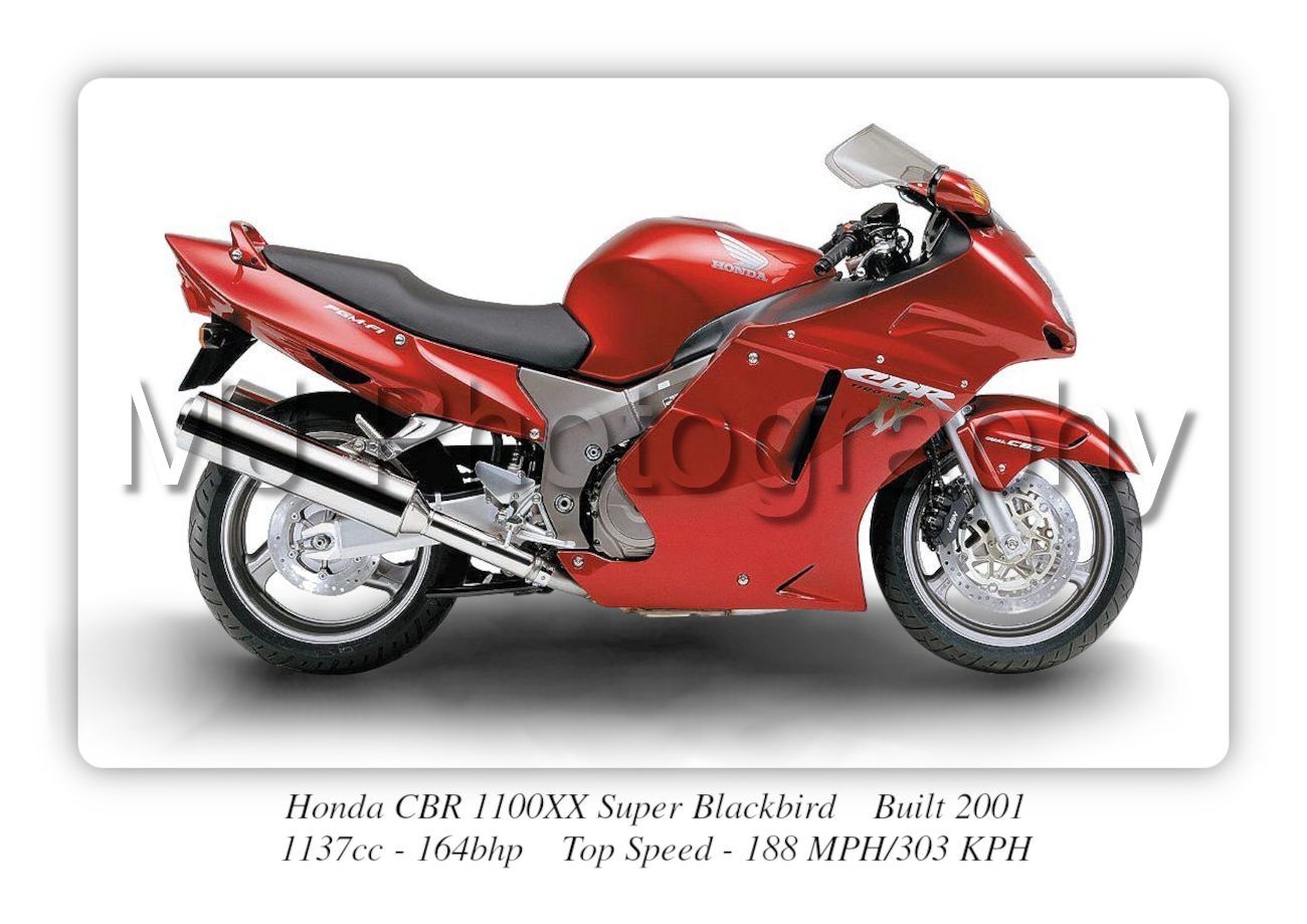 Honda CBR 1100XX Super Blackbird Motorbike Motorcycle - A3/A4 Size Print Poster
