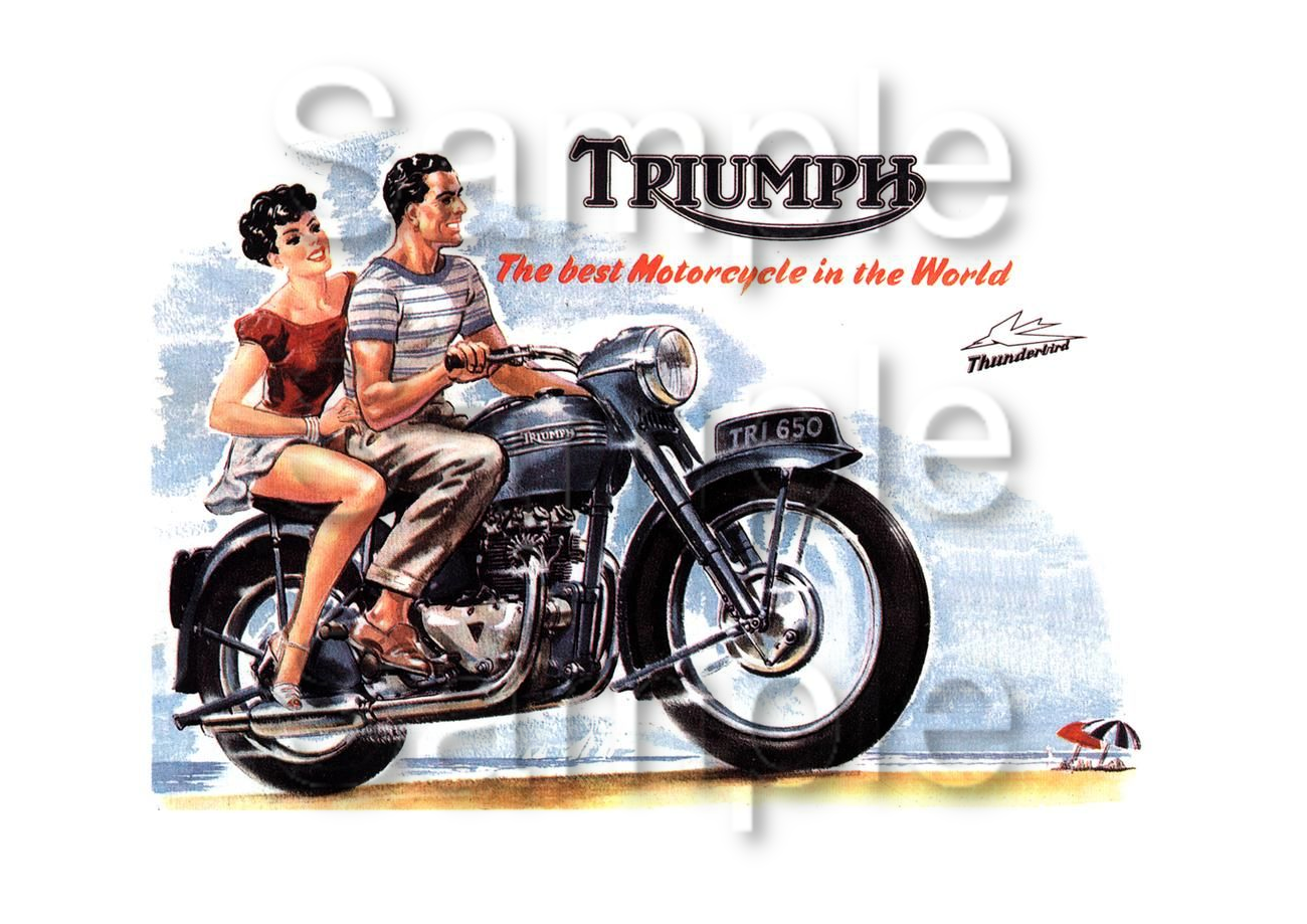 Triumph Thunderbird Motorbike Motorcycle - A3/A4 Size Print Poster