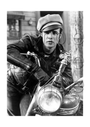 Marlon Brando Triumph Motorbike Motorcycle A3/A4 Size Print Poster Photographic Paper Wall Art
