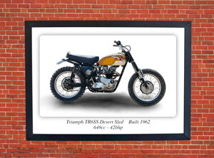 Triumph TR6SS Desert Sled Motorbike Motorcycle - A3/A4 Size Print Poster