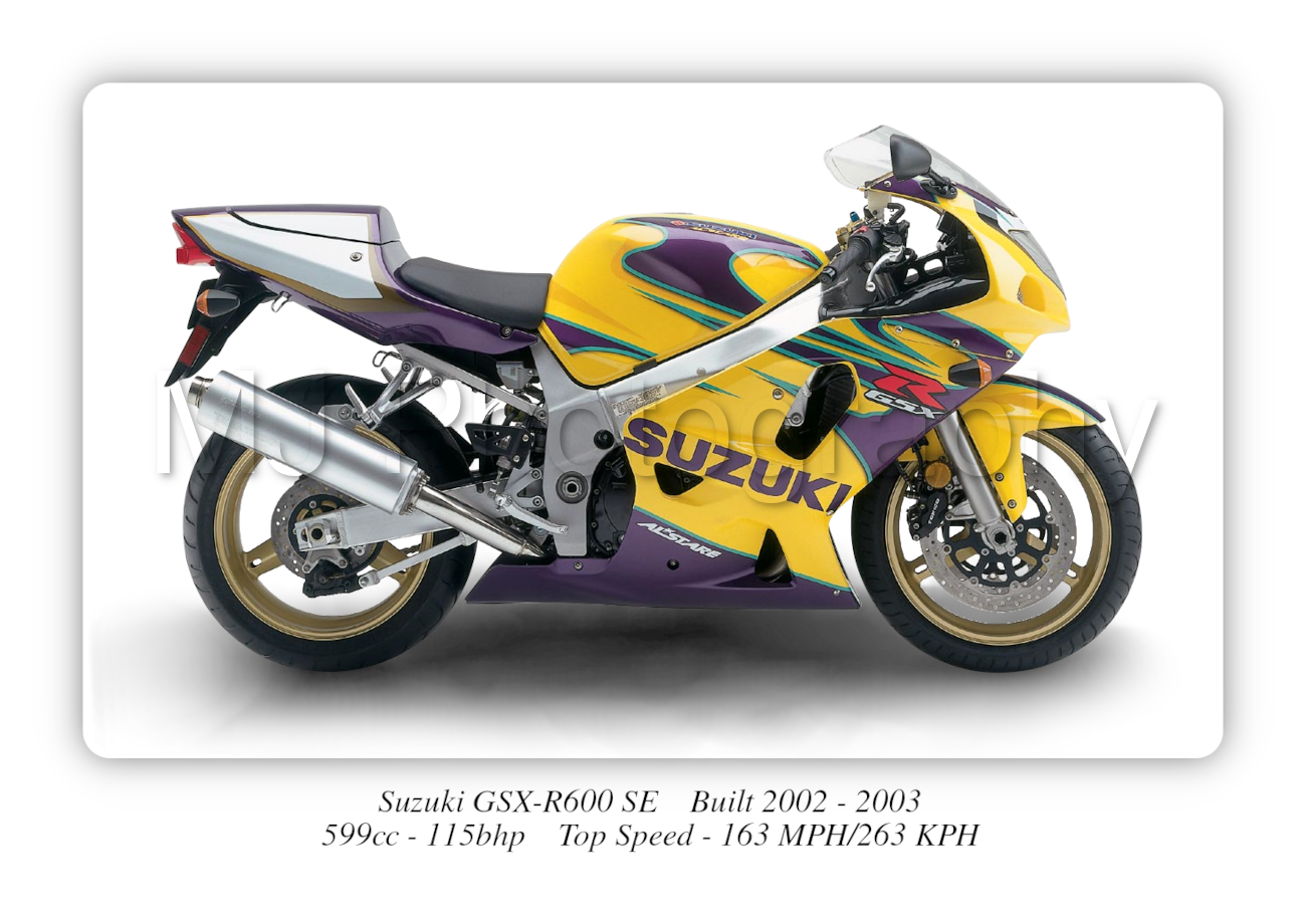 Suzuki GSX-R600 SE Motorcycle - A3/A4 Size Print Poster