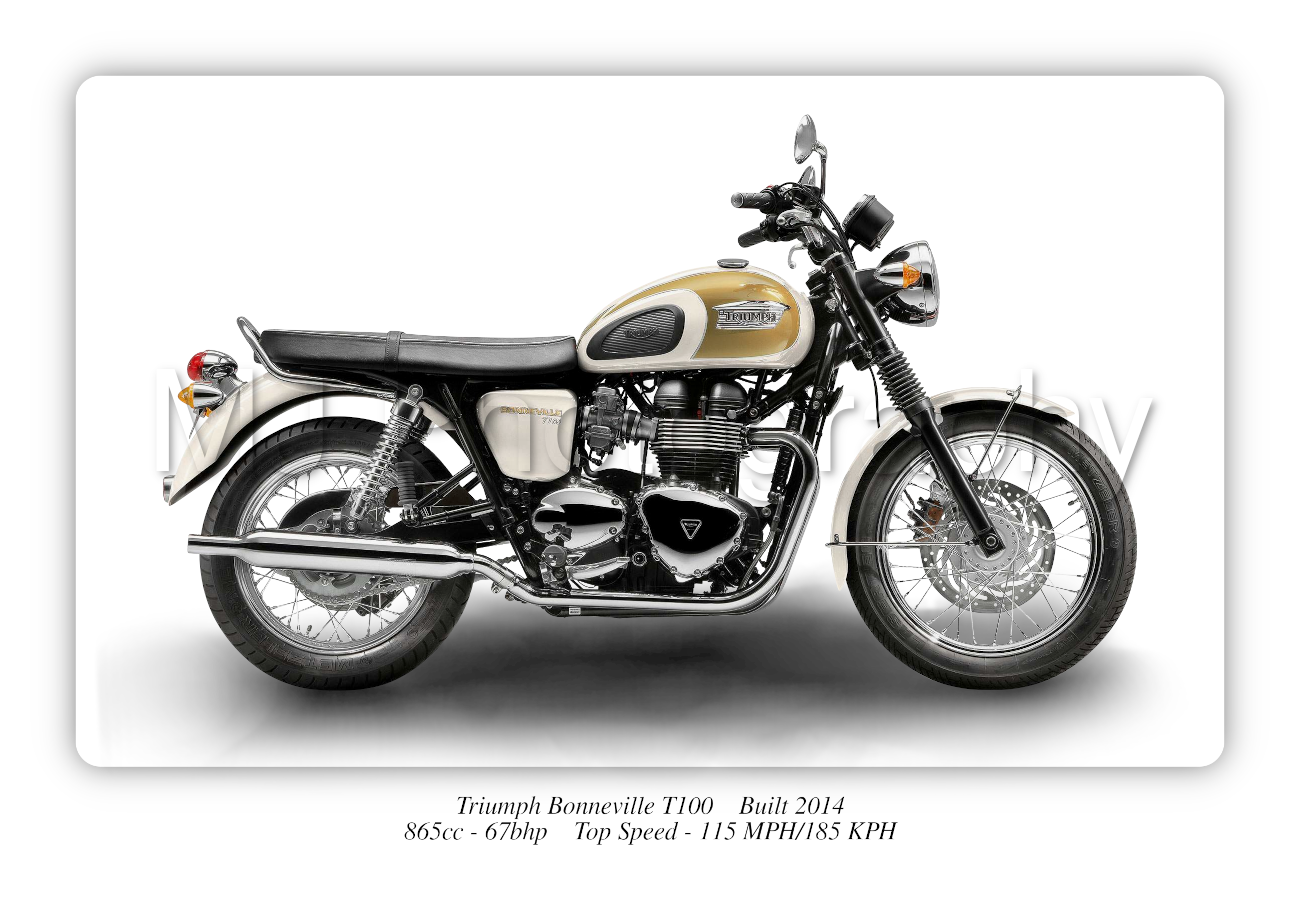 Triumph Bonneville T100 Motorbike Motorcycle - A3/A4 Size Print Poster