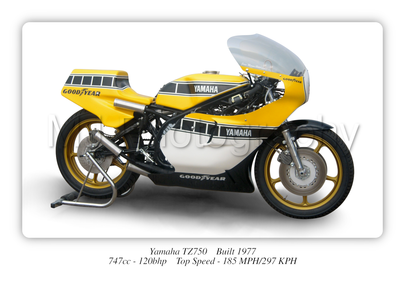 Yamaha TZ750 Motorbike Motorcycle - A3/A4 Size Print Poster